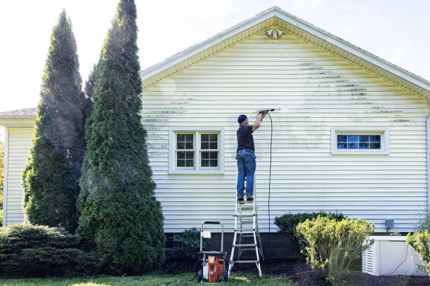 Best Pressure Washing Driveway  in Avenel, NJ